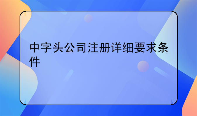 中字頭公司注冊詳細要求條件