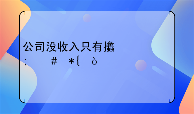 公司沒收入只有支出怎么辦？