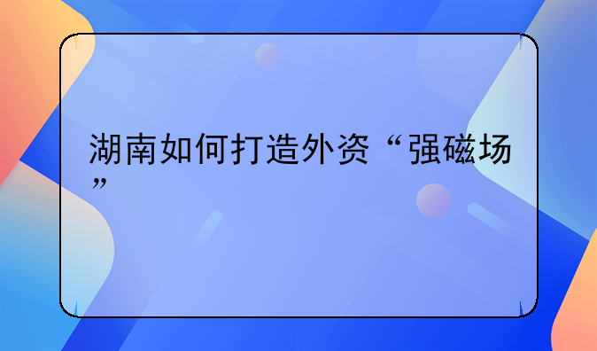 湖南如何打造外資“強(qiáng)磁場(chǎng)”