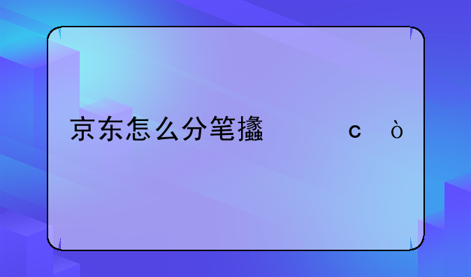 京東怎么分筆支付？