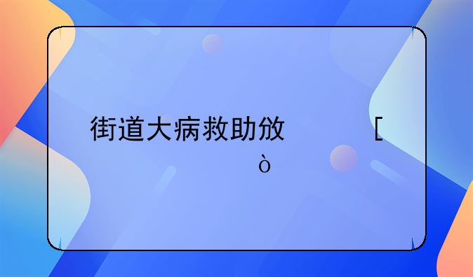街道大病救助政策標準？