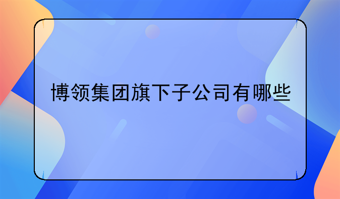 博領(lǐng)集團(tuán)旗下子公司有哪些