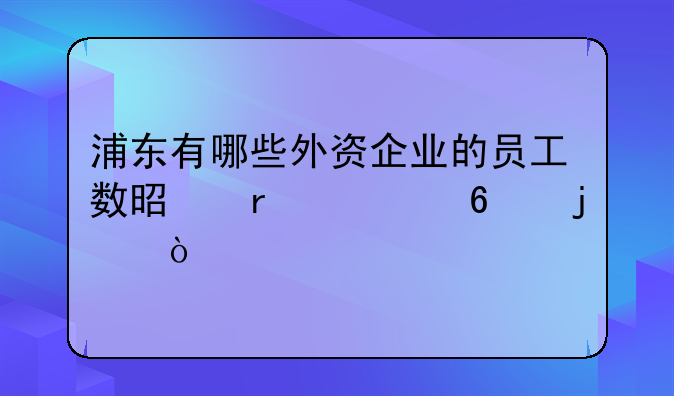 浦東有哪些外資企業(yè)的員工數(shù)是在一千的？