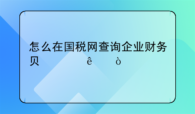 怎么在國(guó)稅網(wǎng)查詢企業(yè)財(cái)務(wù)負(fù)責(zé)人？