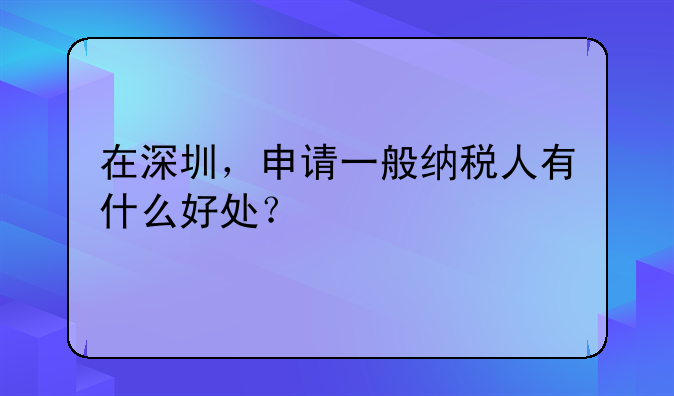 在深圳，申請(qǐng)一般納稅人有什么好處？