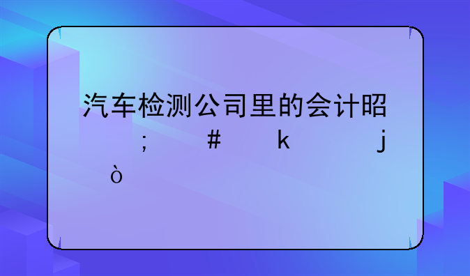 汽車檢測公司里的會(huì)計(jì)是怎么做賬的？