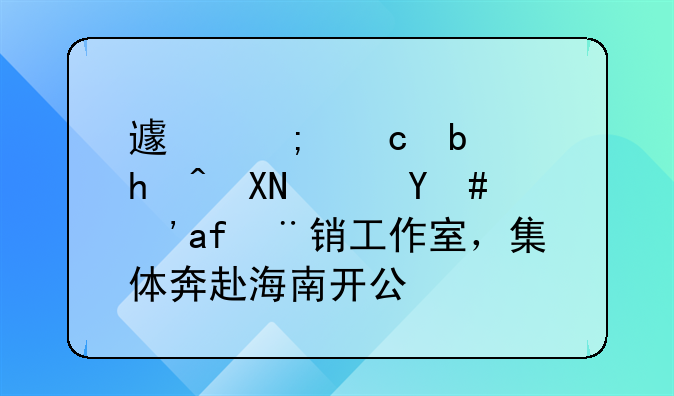 避稅還是投資？明星注銷工作室，集體奔赴海南開公司