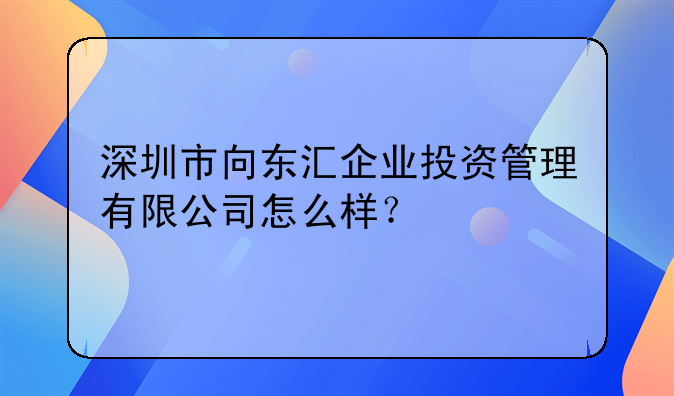深圳市向東匯企業(yè)投資管理有限公司怎么樣？