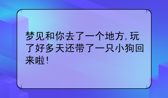 夢(mèng)見和你去了一個(gè)地方,玩了好多天還帶了一只小狗回來啦!