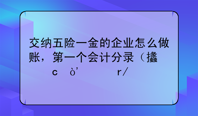 交納五險(xiǎn)一金的企業(yè)怎么做賬，第一個(gè)會(huì)計(jì)分錄（支付）沒看懂