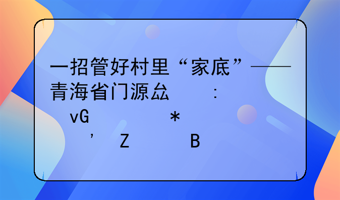 一招管好村里“家底”——青海省門源縣探索村級(jí)財(cái)務(wù)第三方代理記賬